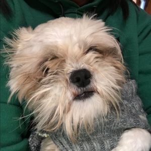 Meet your Posher, Julaine